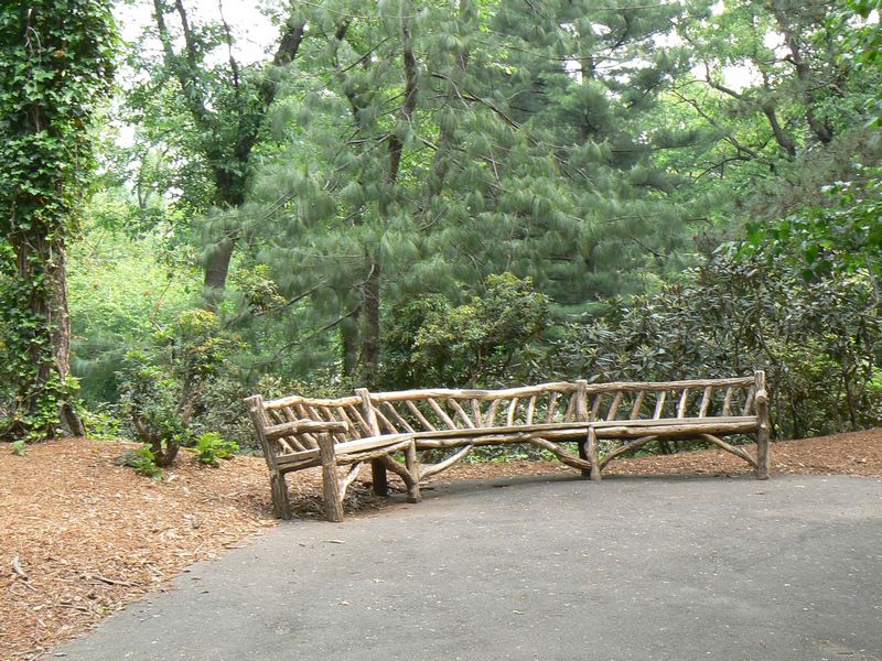 Central Park et autour: Central Park 7